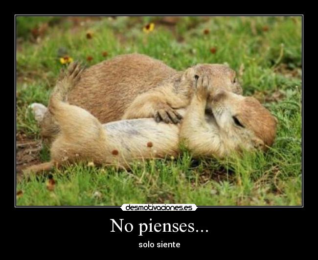 carteles walt desmotivaciones