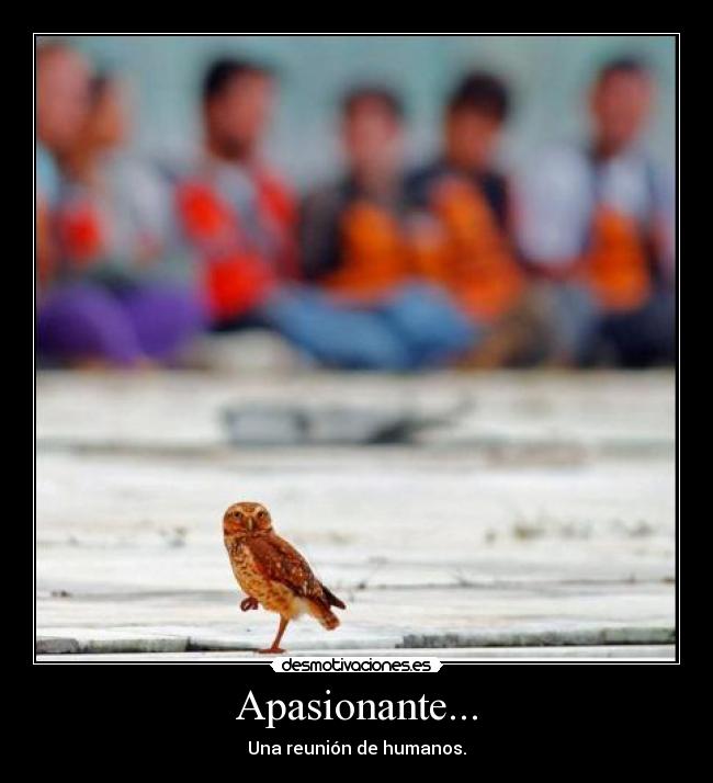 Apasionante... - 