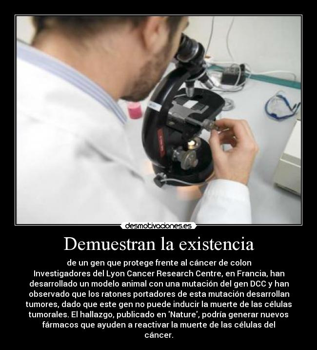 carteles desmotivaciones