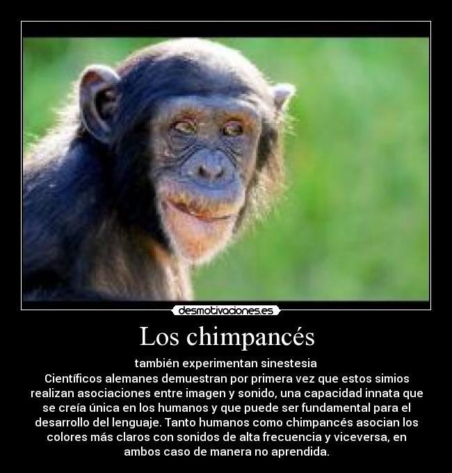 carteles desmotivaciones