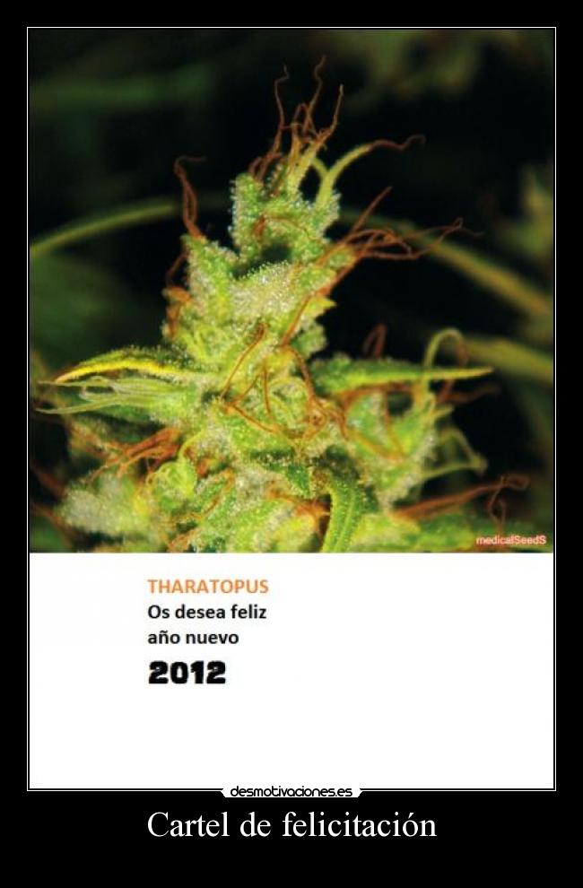 Cartel de felicitación -