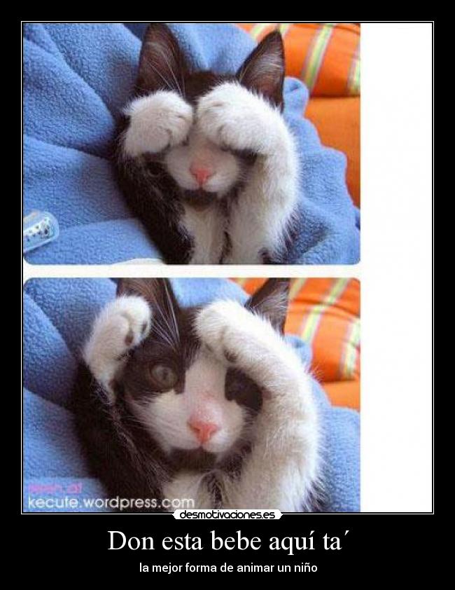 Don esta bebe aquí ta´ - la mejor forma de animar un niño