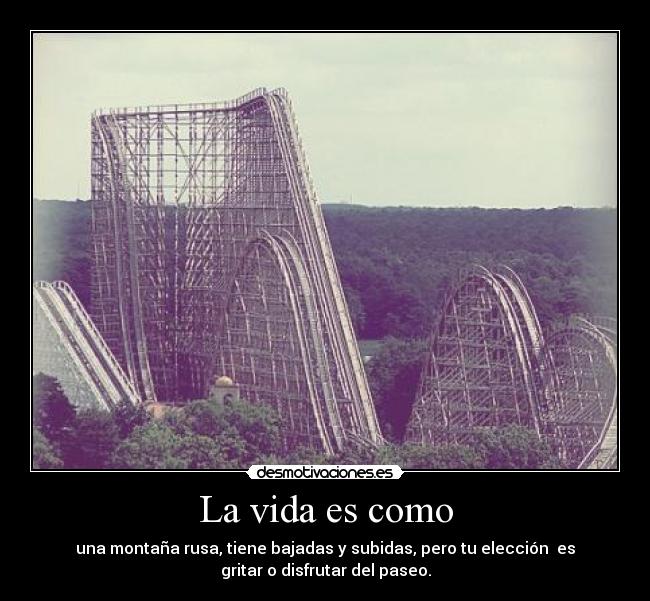 La vida es como - una montaña rusa, tiene bajadas y subidas, pero tu elección  es
gritar o disfrutar del paseo.