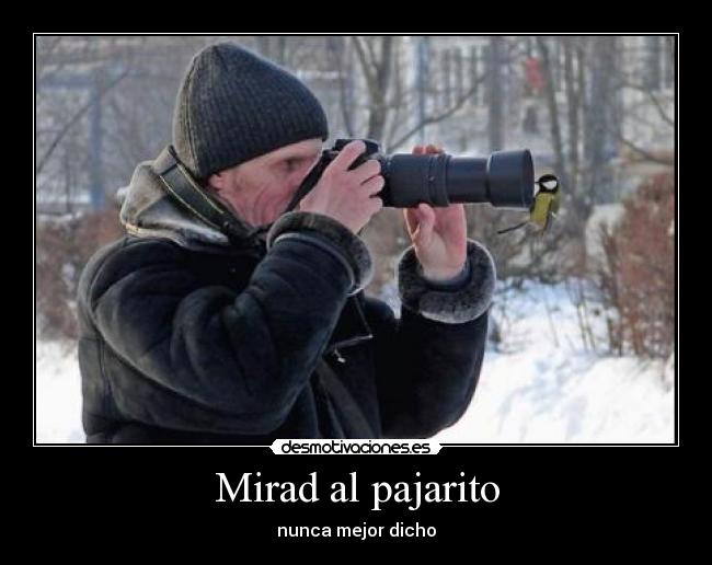 Mirad al pajarito - nunca mejor dicho