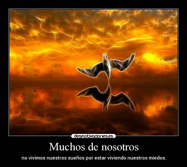 Muchos de nosotros - no vivimos nuestros sueños por estar viviendo nuestros miedos.