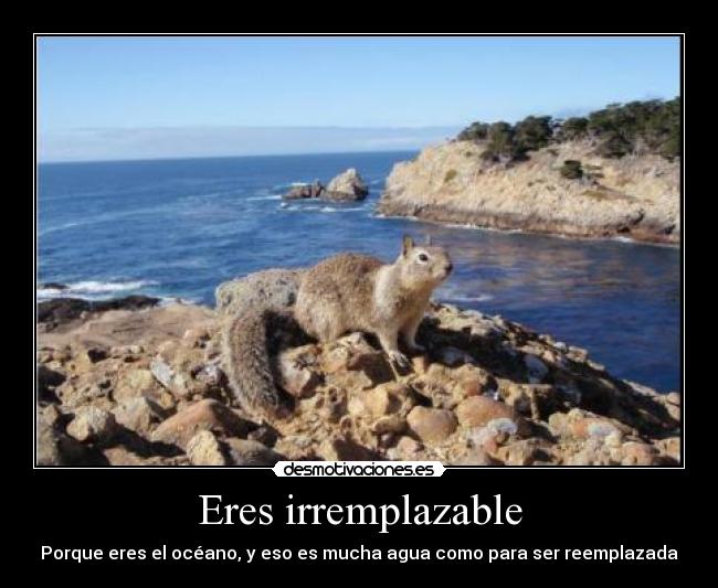 carteles las ardillas molan desmotivaciones