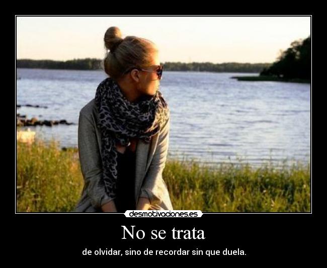 carteles chipiron21 holahola desmotivaciones