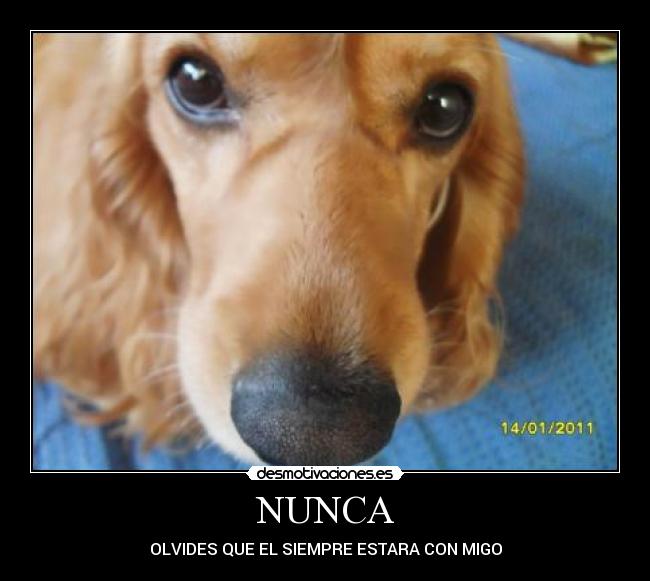 NUNCA - 