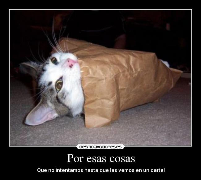 Por esas cosas - Que no intentamos hasta que las vemos en un cartel