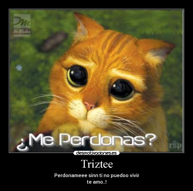 carteles perdoname desmotivaciones