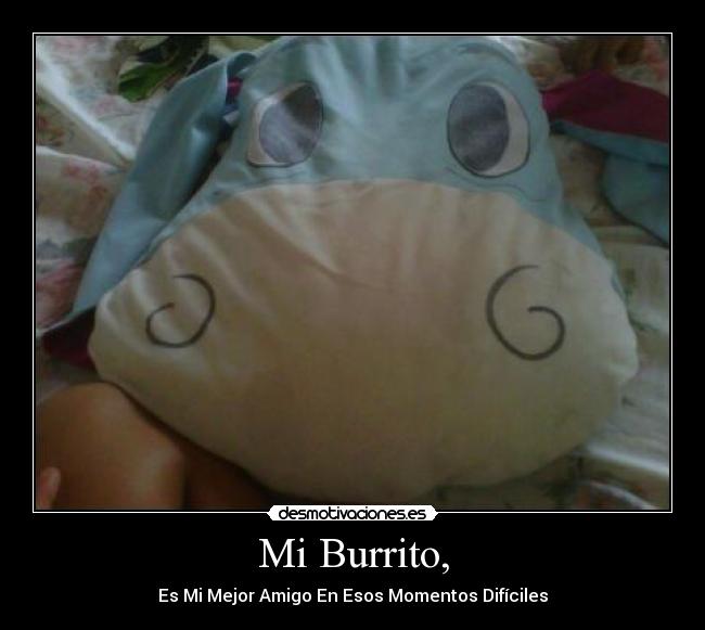 Mi Burrito, -