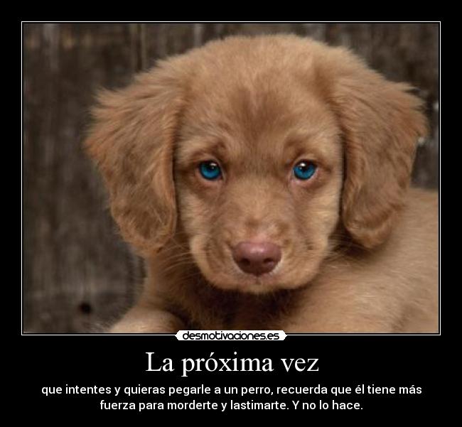 La próxima vez -