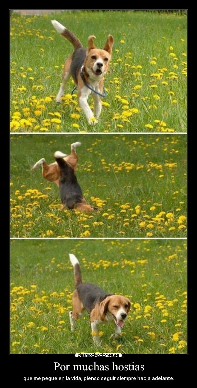 Por muchas hostias -