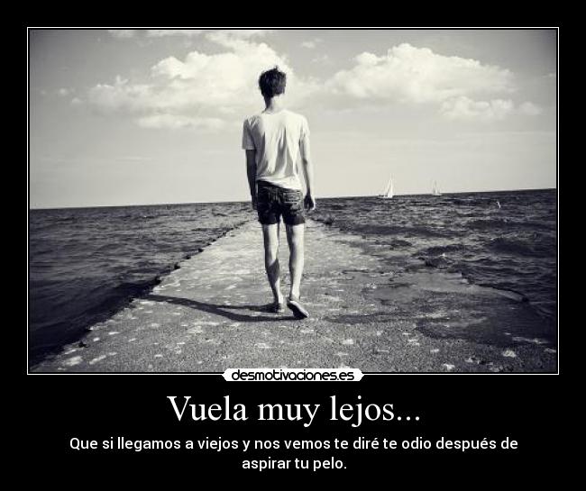 Vuela muy lejos... - Que si llegamos a viejos y nos vemos te diré te odio después de aspirar tu pelo.