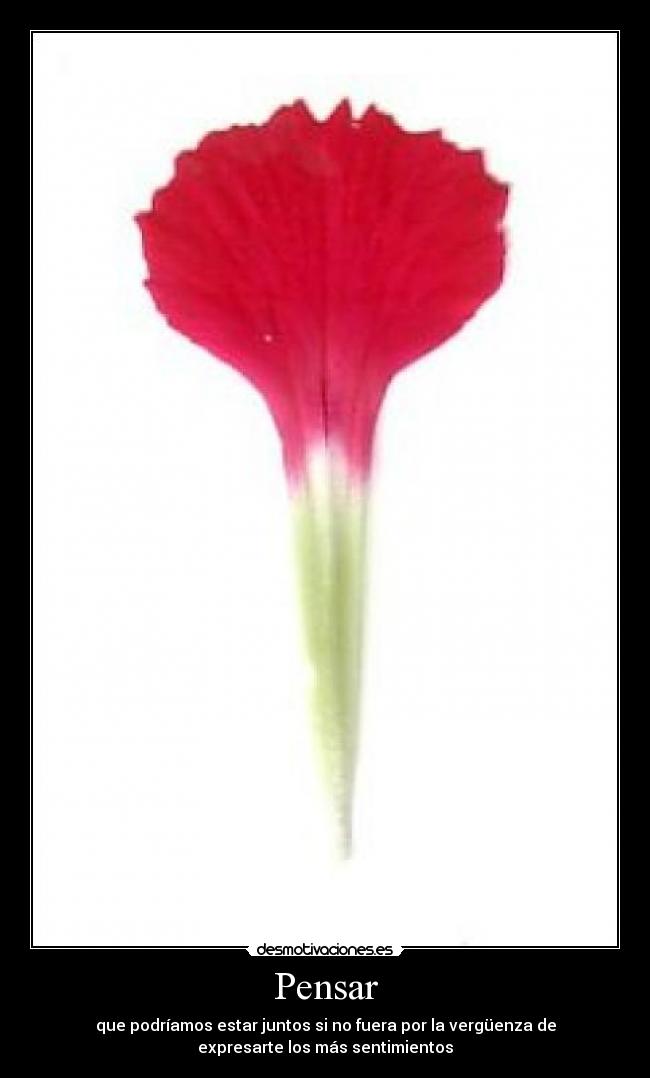Pensar - que podríamos estar juntos si no fuera por la vergüenza de
expresarte los más sentimientos