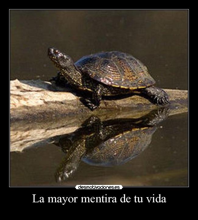 carteles mentira vida clanhoygan desmotivaciones