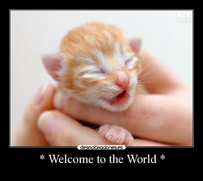 * Welcome to the World * - 