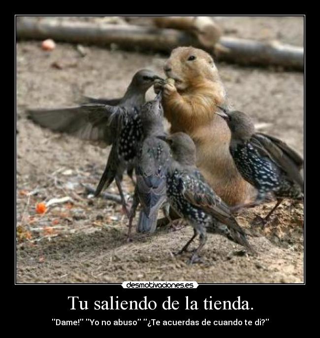 Tu saliendo de la tienda. - Dame! Yo no abuso ¿Te acuerdas de cuando te di?