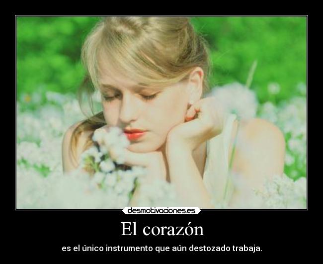 El corazón - es el único instrumento que aún destozado trabaja.