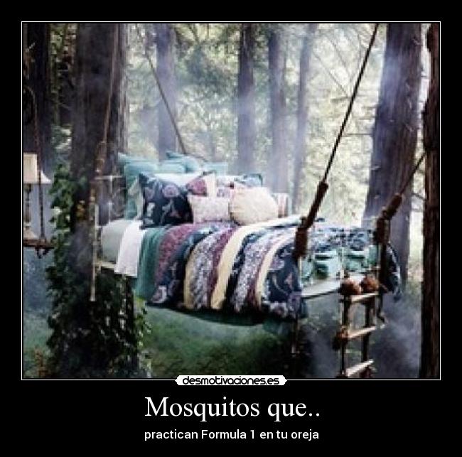 Mosquitos que.. -