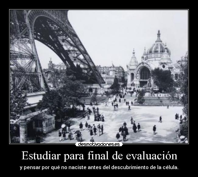 Estudiar para final de evaluación - y pensar por qué no naciste antes del descubrimiento de la célula.