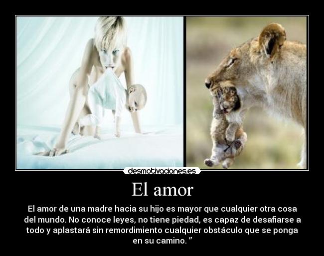 El amor - 