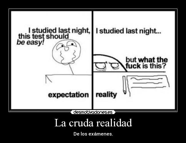 La cruda realidad - 