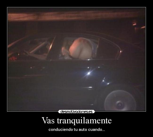 carteles auto conducir desmotivaciones