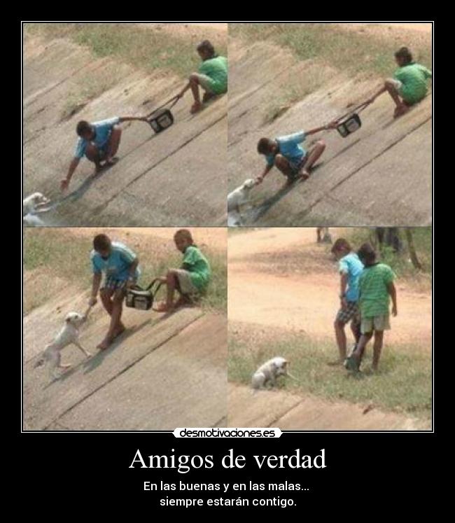 carteles amigos odnr desmotivaciones