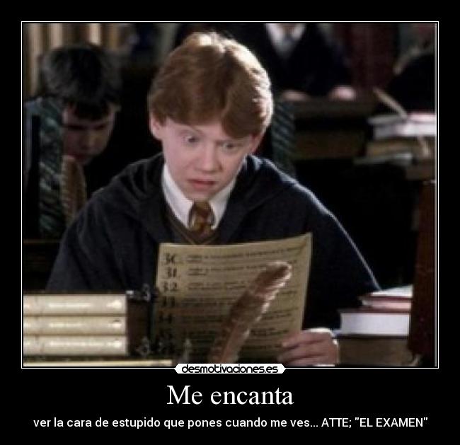 Me encanta - ver la cara de estupido que pones cuando me ves... ATTE; EL EXAMEN