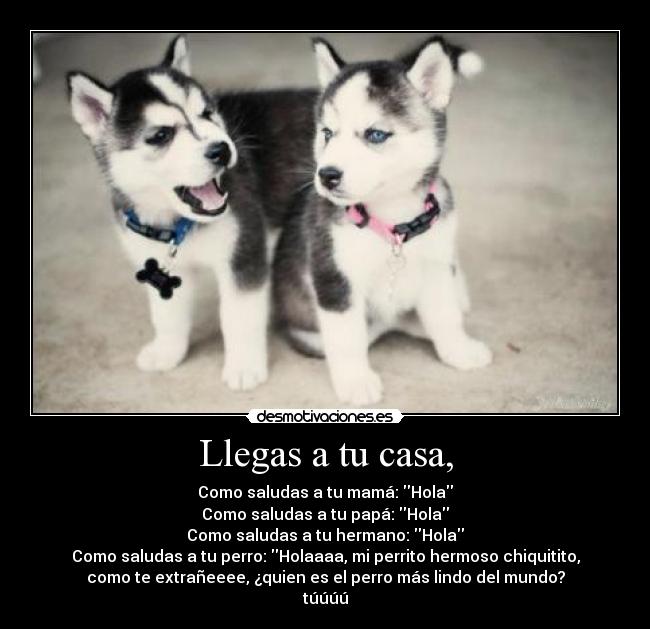 Llegas a tu casa, -