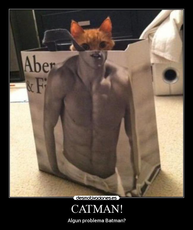 CATMAN! -