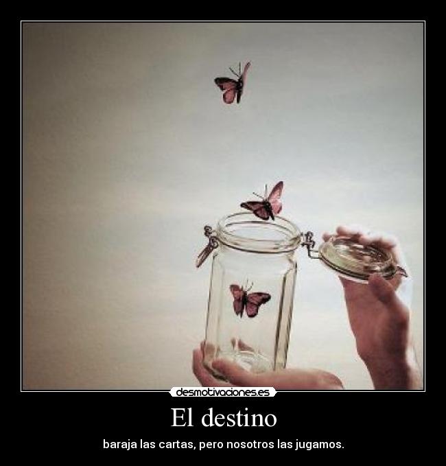 carteles destino lauradesmotivada desmotivaciones