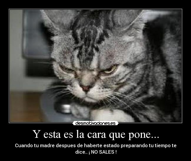 Y esta es la cara que pone... - 