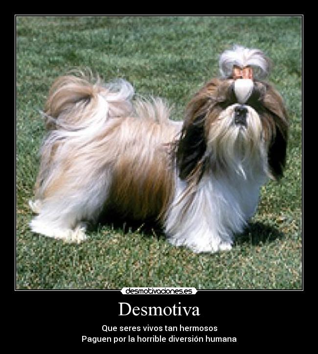 Desmotiva -