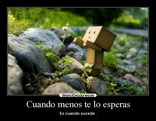 carteles una hermosa flor entre rocas desmotivaciones