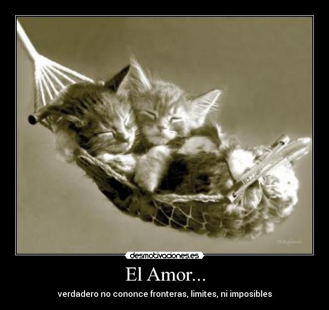 El Amor... - 