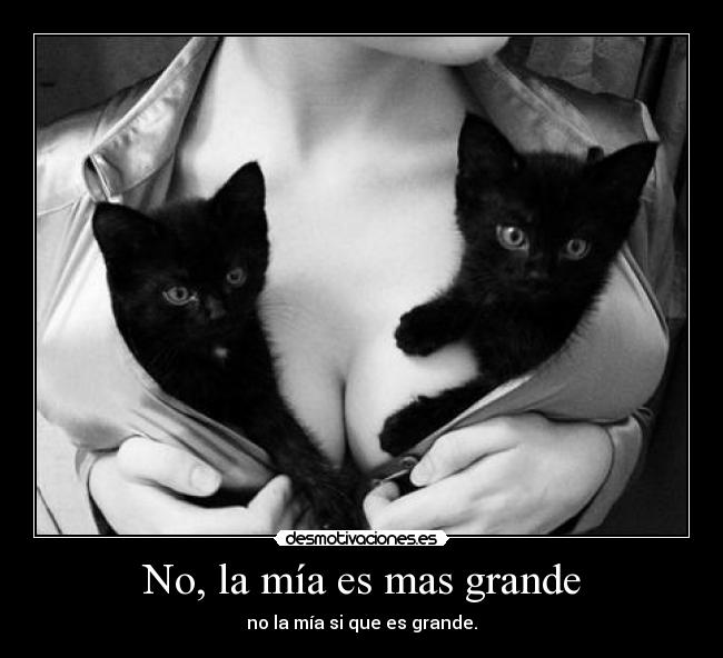 No, la mía es mas grande - no la mía si que es grande.