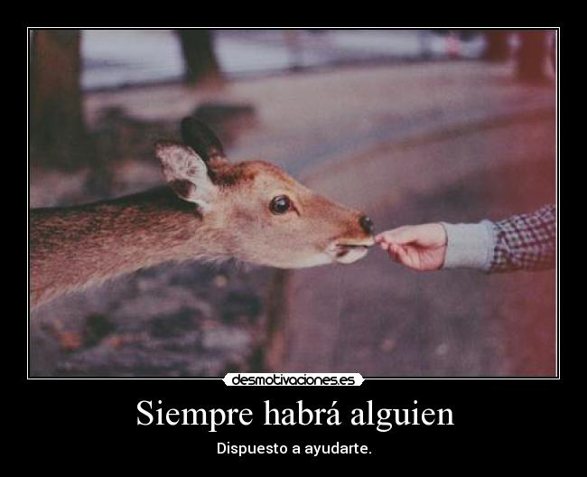 Siempre habrá alguien -