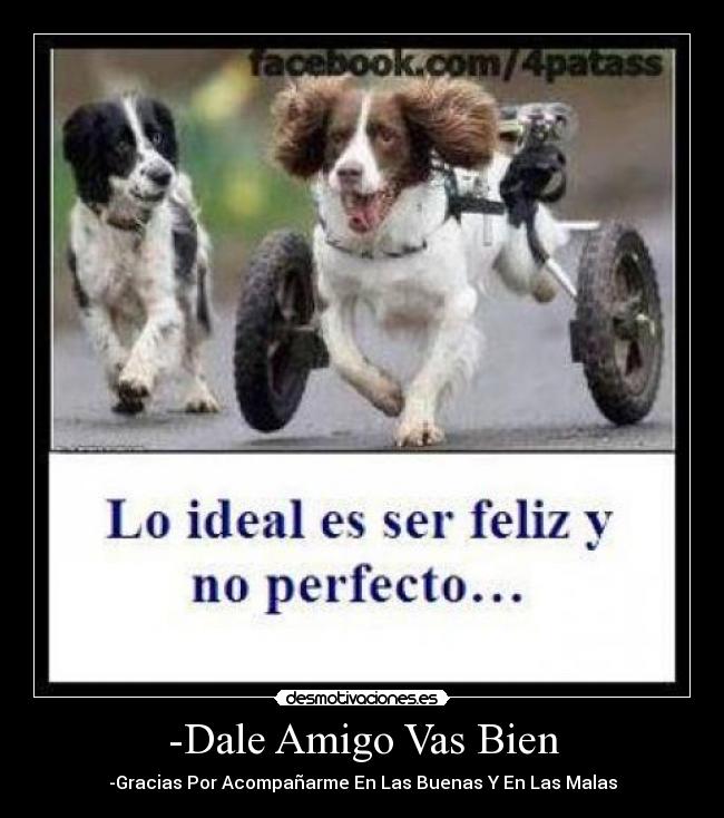 -Dale Amigo Vas Bien -