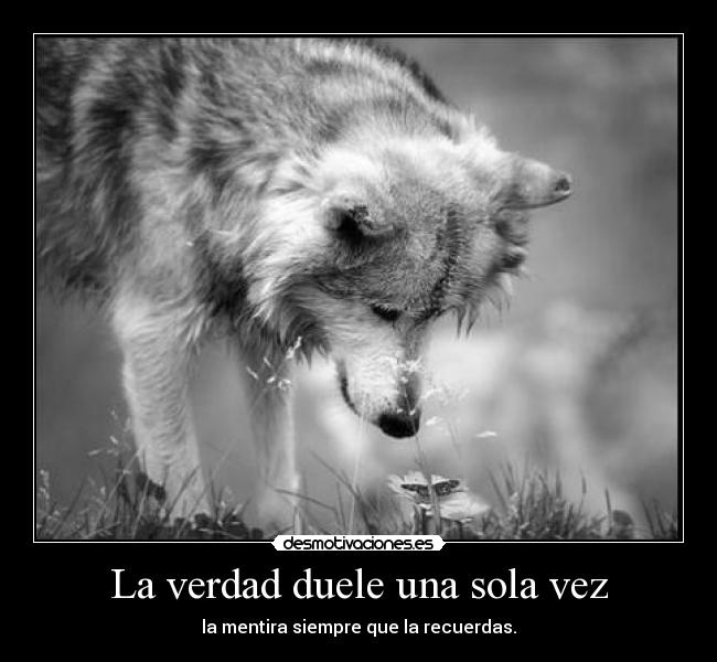 La verdad duele una sola vez - la mentira siempre que la recuerdas.