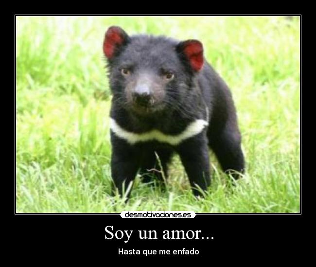 Soy un amor... - Hasta que me enfado