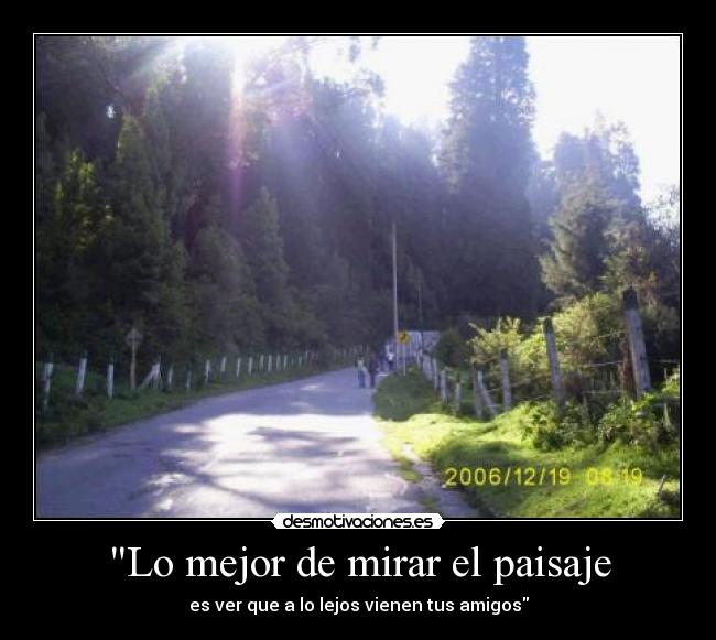 carteles mejor mirar paisaje desmotivaciones