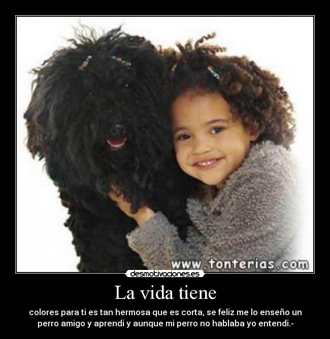 La vida tiene - colores para ti es tan hermosa que es corta, se feliz me lo enseño un
perro amigo y aprendi y aunque mi perro no hablaba yo entendi.-