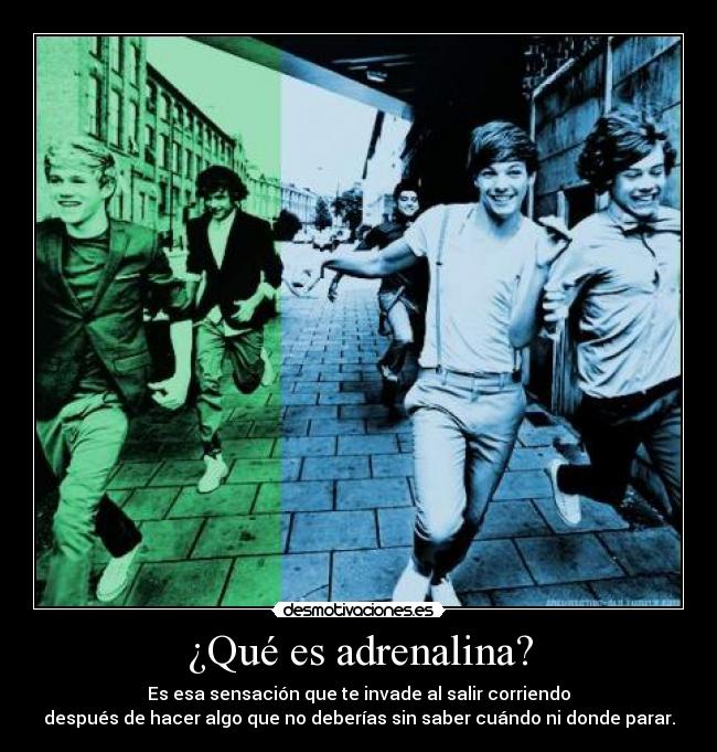 ¿Qué es adrenalina? - 