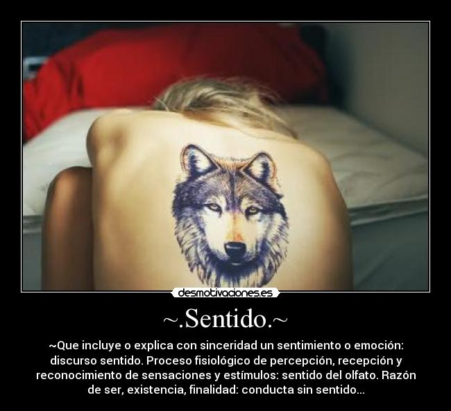 ~.Sentido.~ - 