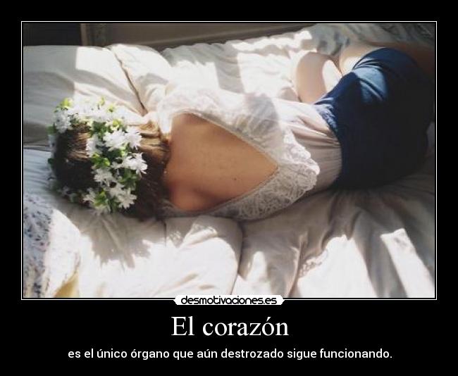 El corazón - es el único órgano que aún destrozado sigue funcionando.