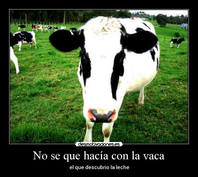 No se que hacía con la vaca - el que descubrio la leche