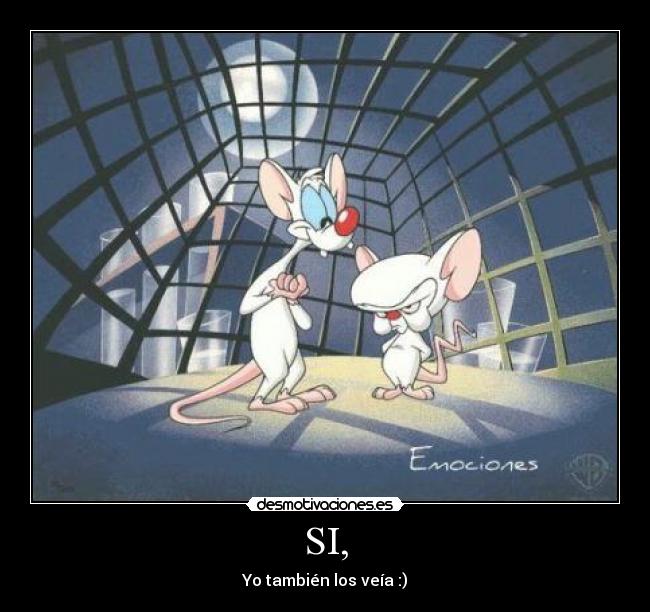 SI, - Yo también los veía :)