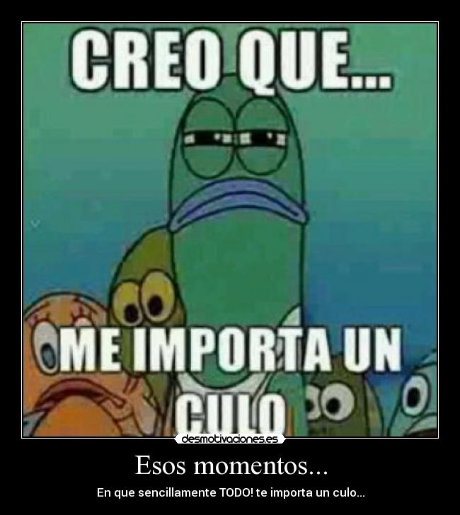 Esos momentos... - En que sencillamente TODO! te importa un culo...
